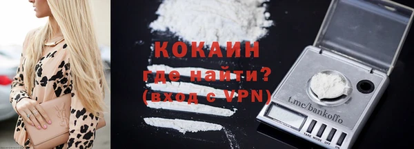 прущие грибы Зеленокумск