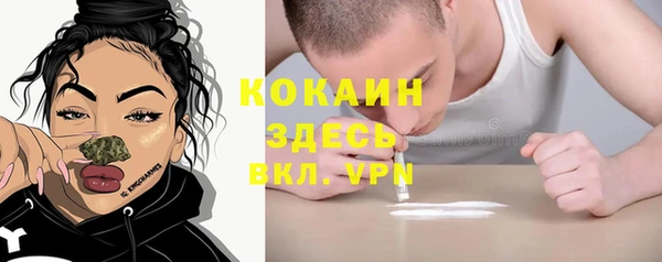 прущие грибы Зеленокумск