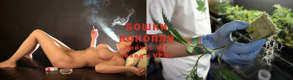 прущие грибы Зеленокумск