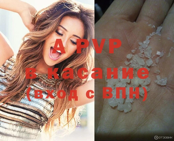 прущие грибы Зеленокумск