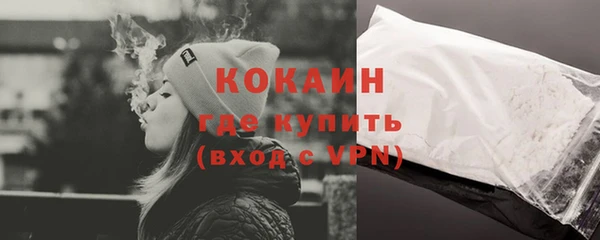 прущие грибы Зеленокумск