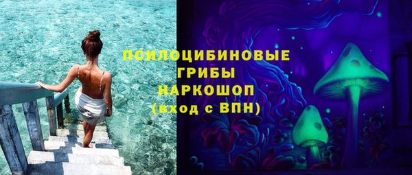 прущие грибы Зеленокумск