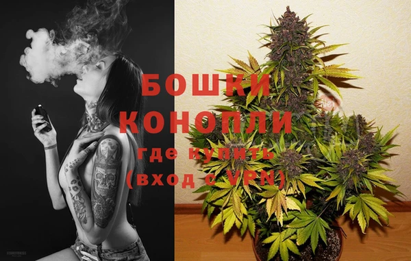 прущие грибы Зеленокумск