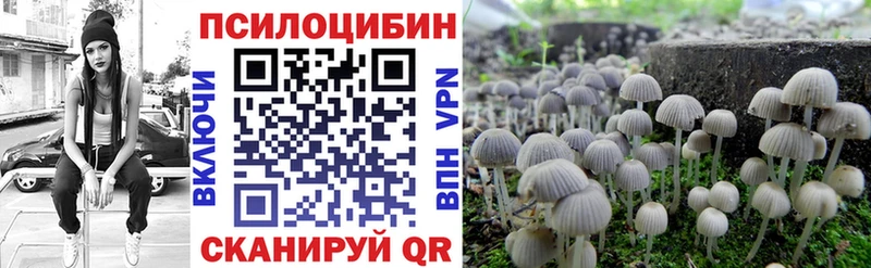 Псилоцибиновые грибы GOLDEN TEACHER Купить где Чаплыгин